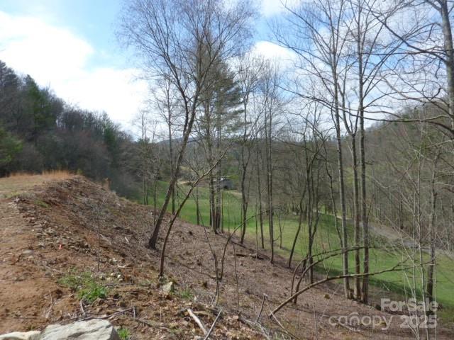 Marshall 14 4241621n