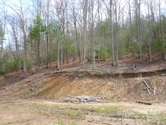 Marshall 16 4241621p