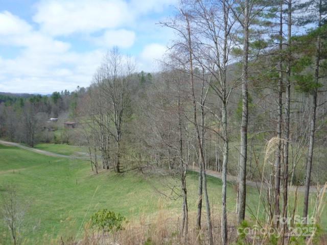 Marshall 19 4241621s