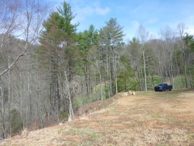 Marshall 23 4241621w