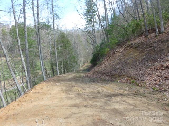 Marshall 25 4241621y