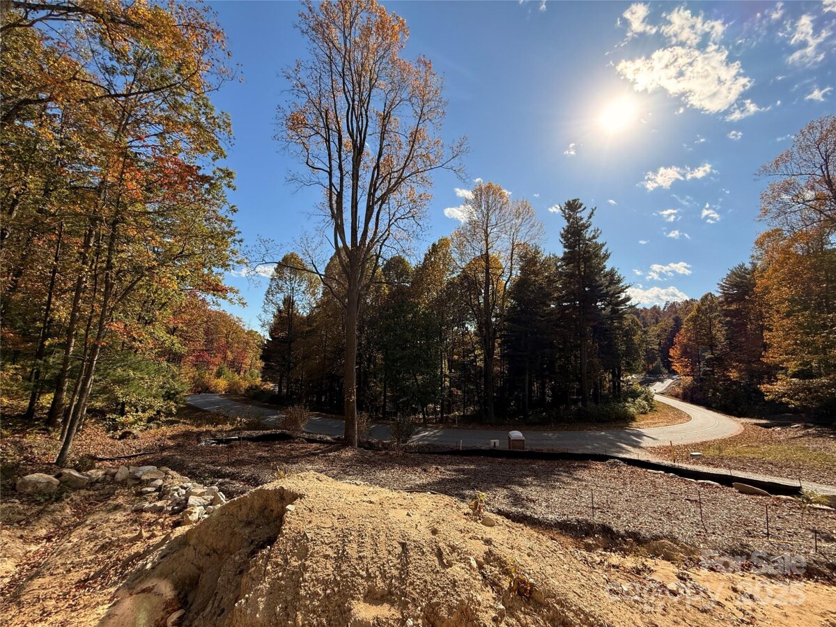 Flat Rock 19 4284666s