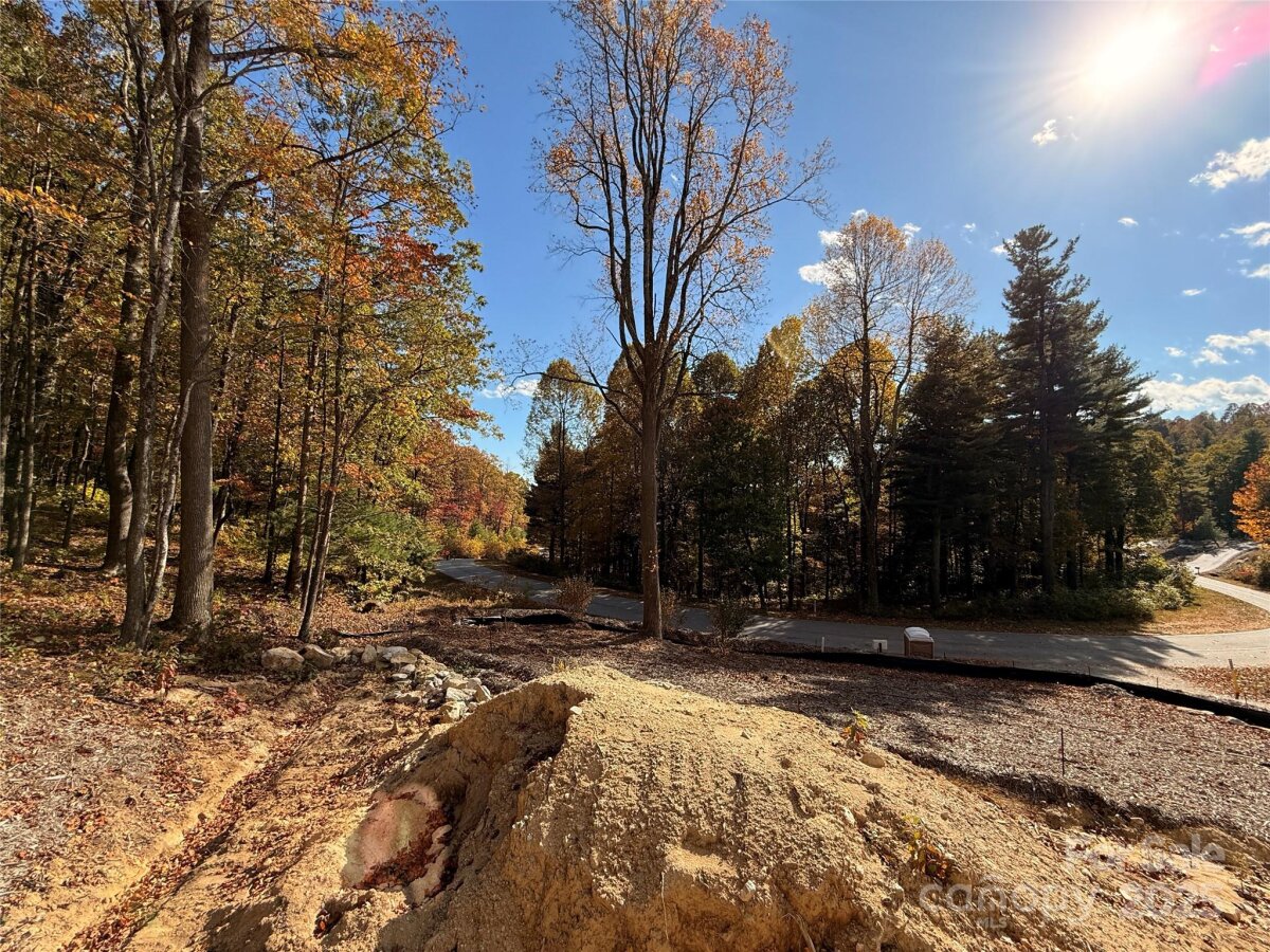 Flat Rock 20 4284666t