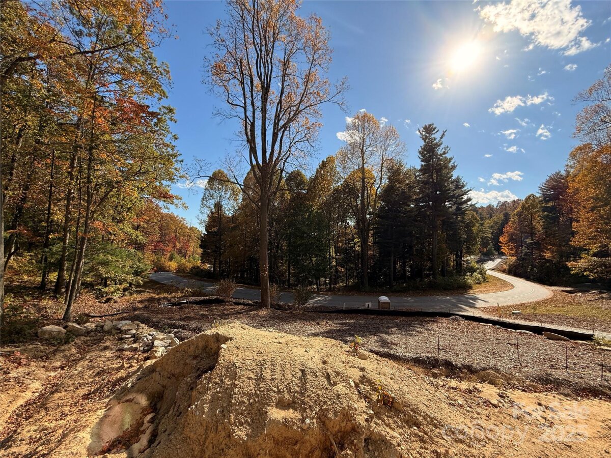 Flat Rock 21 4284666u