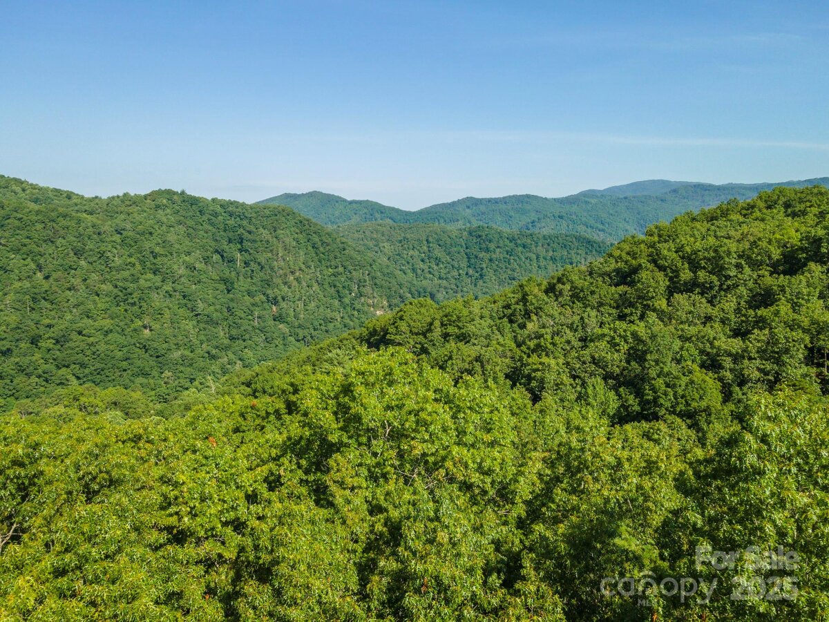 Marshall 14 4289381n