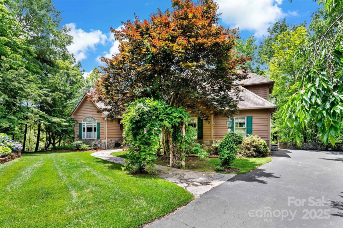 Black Mountain 7 4290483g