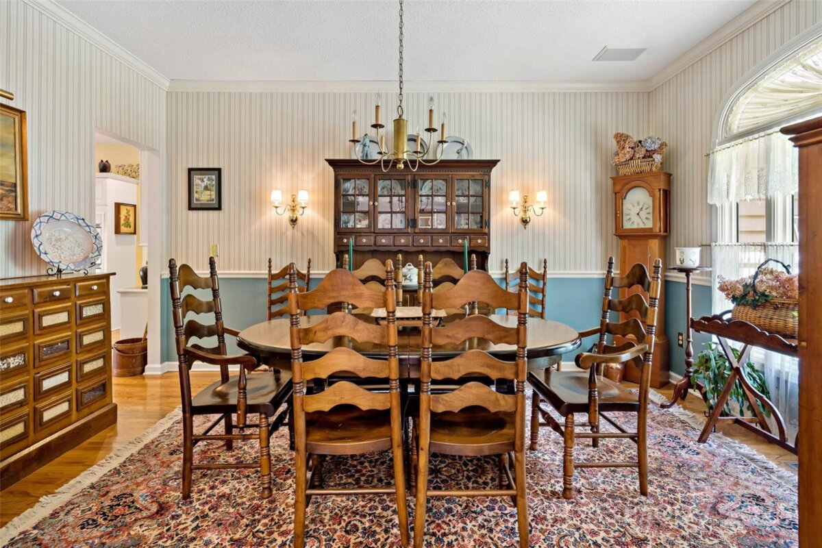 Black Mountain 19 4290483s