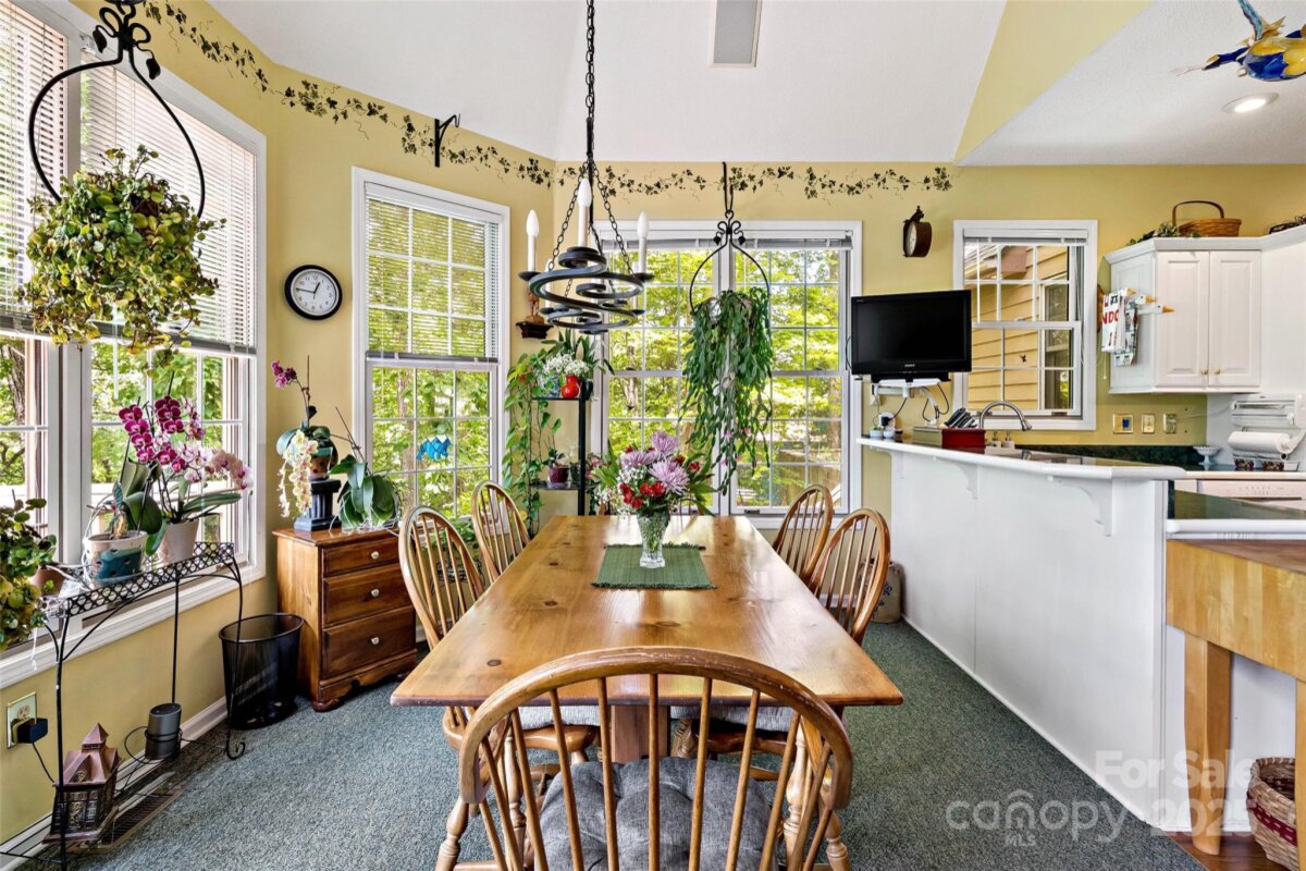 Black Mountain 23 4290483w