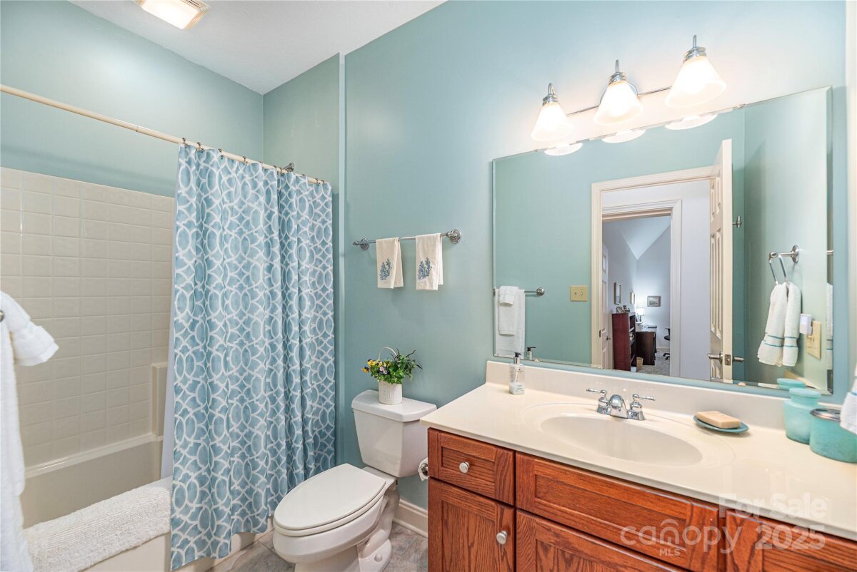 Black Mountain 21 4290952u