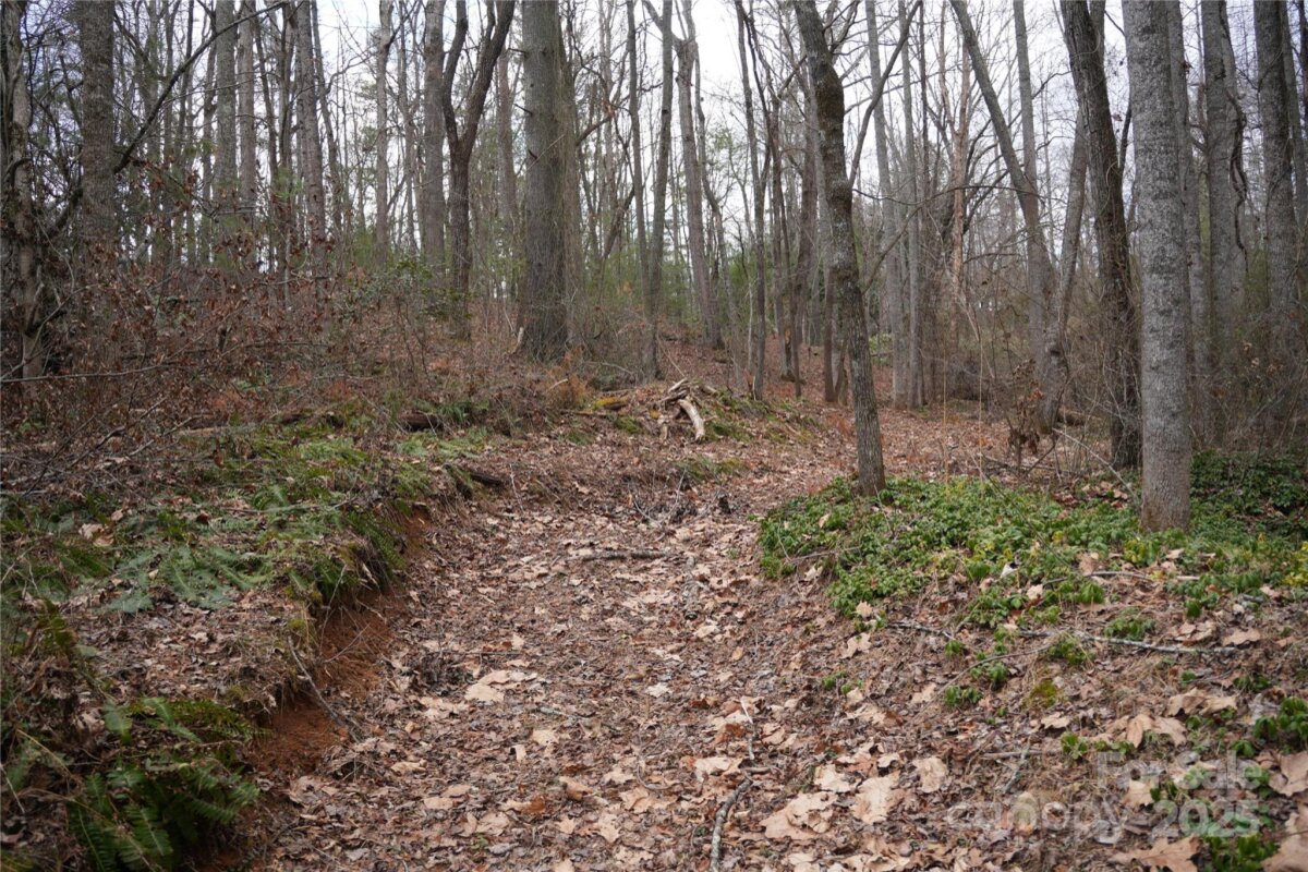 Avery Creek 2 4295625b