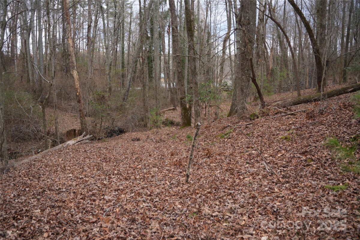 Avery Creek 3 4295625c