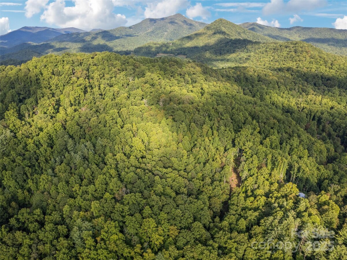 RE/MAX Executive Asheville Listings 3 4300259c