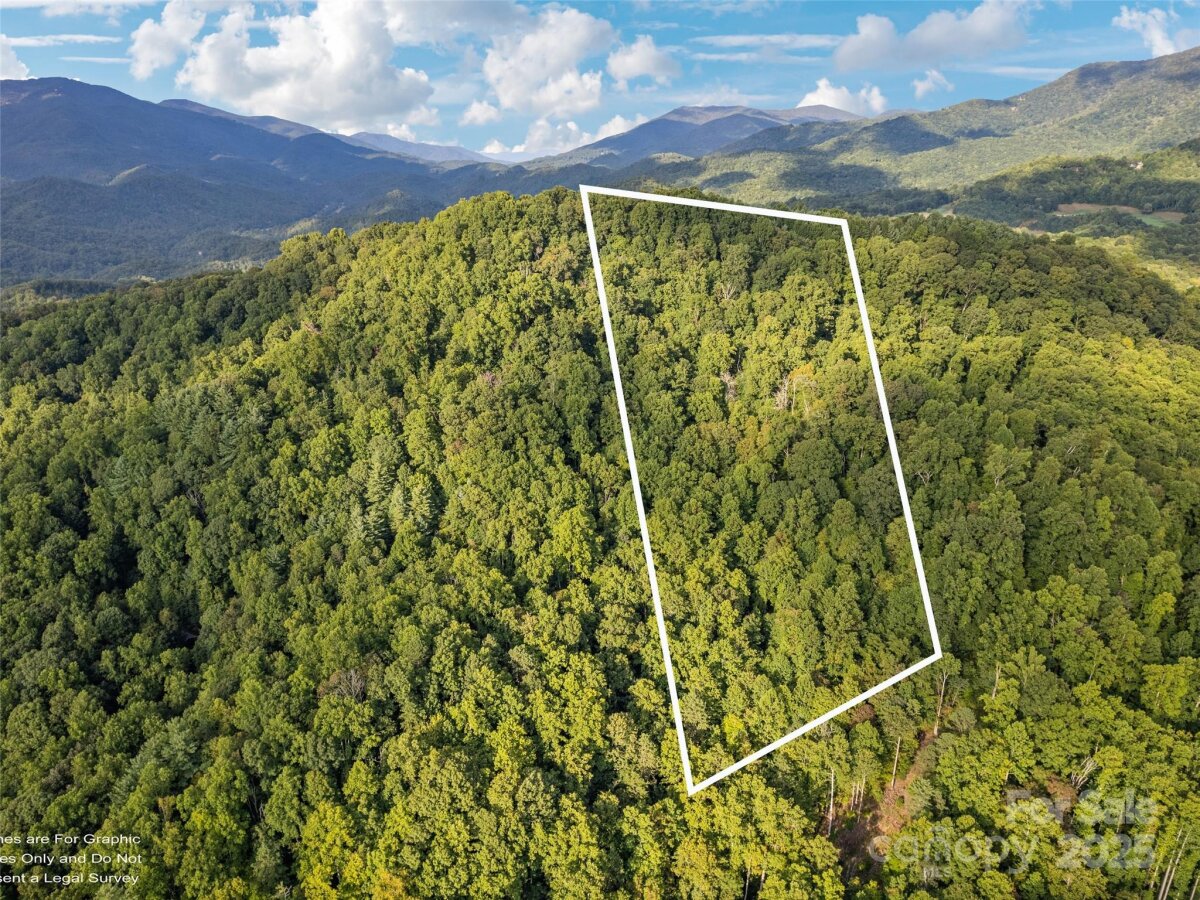 RE/MAX Executive Asheville Listings 5 4300259e