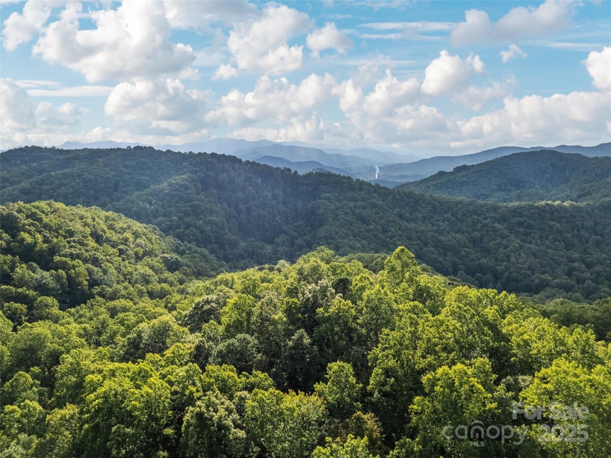 RE/MAX Executive Asheville Listings 7 4300259g