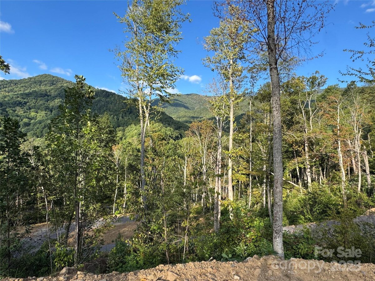 Burnsville 22 4301523v