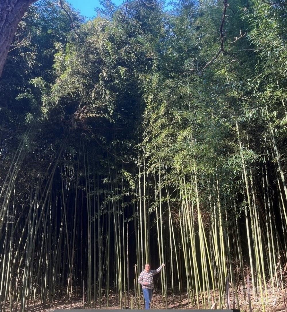 Weaverville 20 4302920t