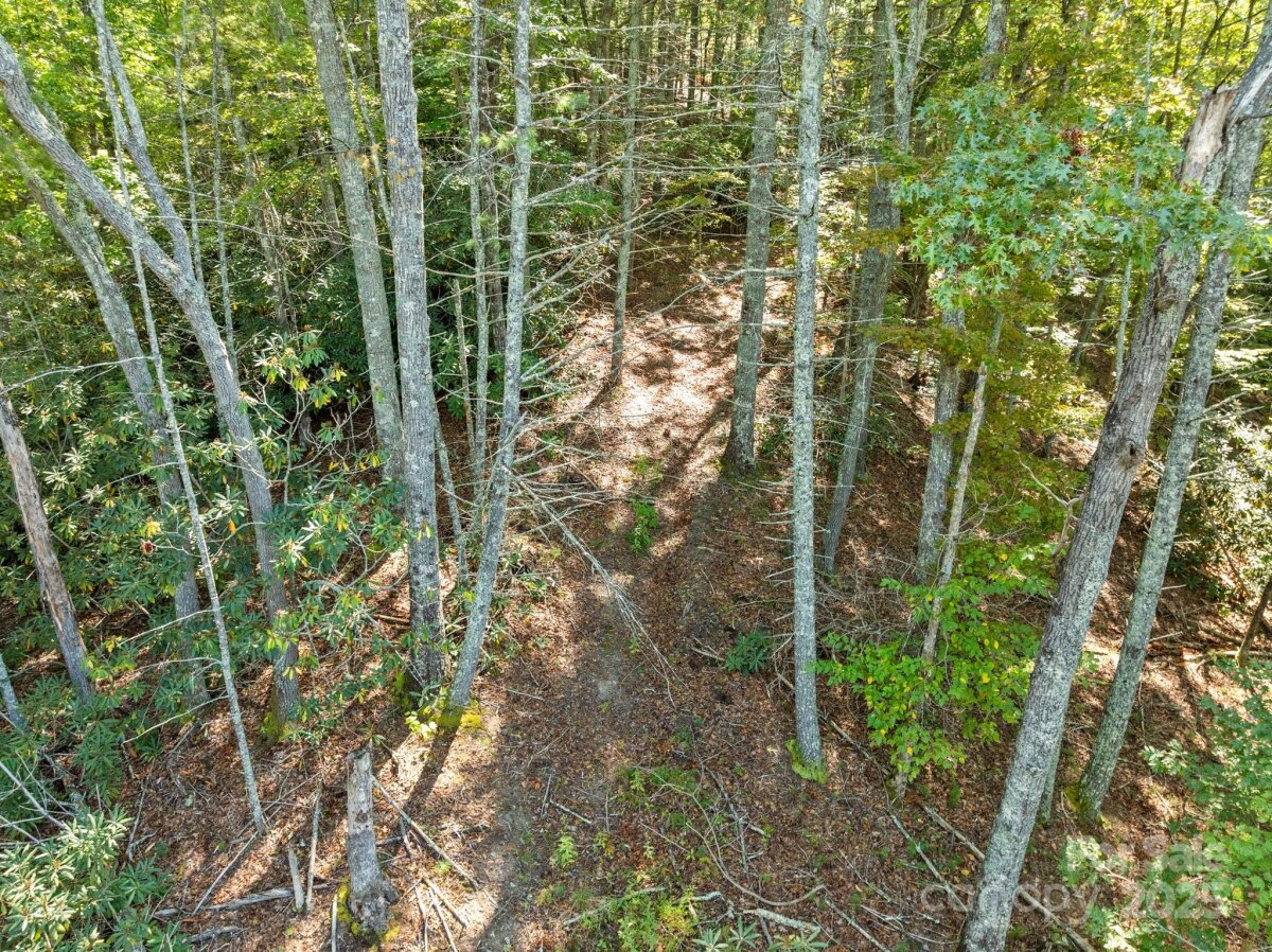 Marshall 10 4305811j