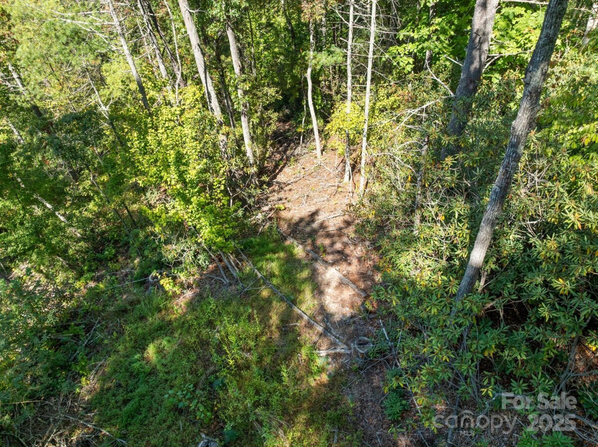 Marshall 11 4305811k