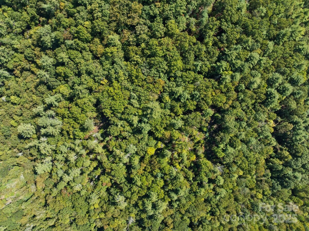 Marshall 12 4305811l