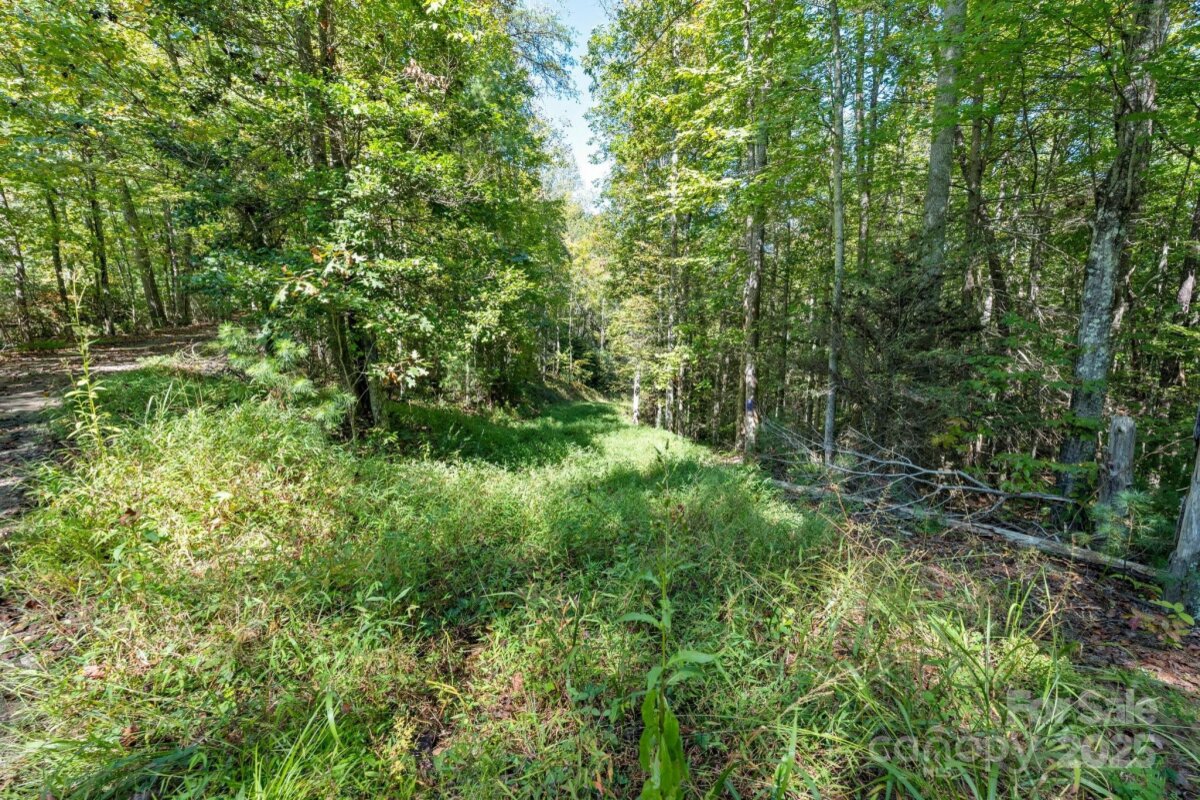 Marshall 13 4305811m