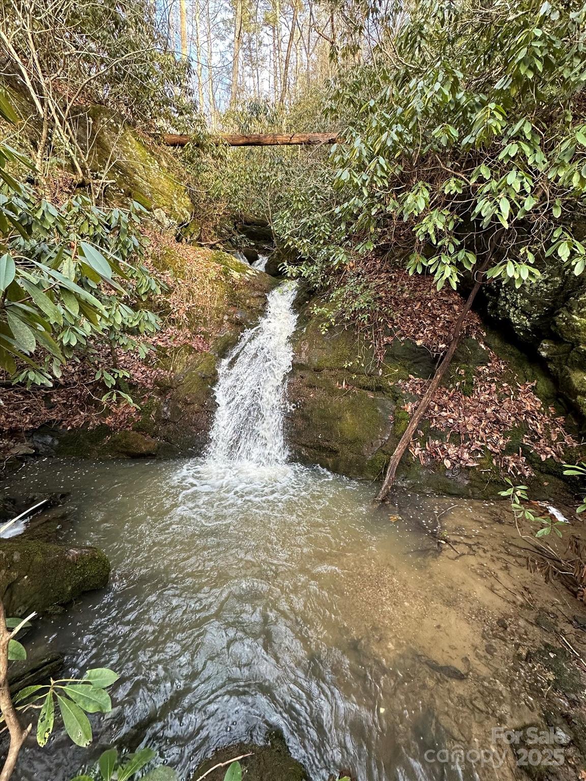 Marshall 14 4305811n