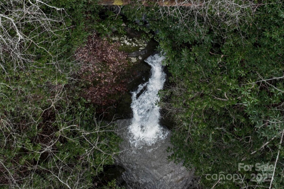 Marshall 15 4305811o