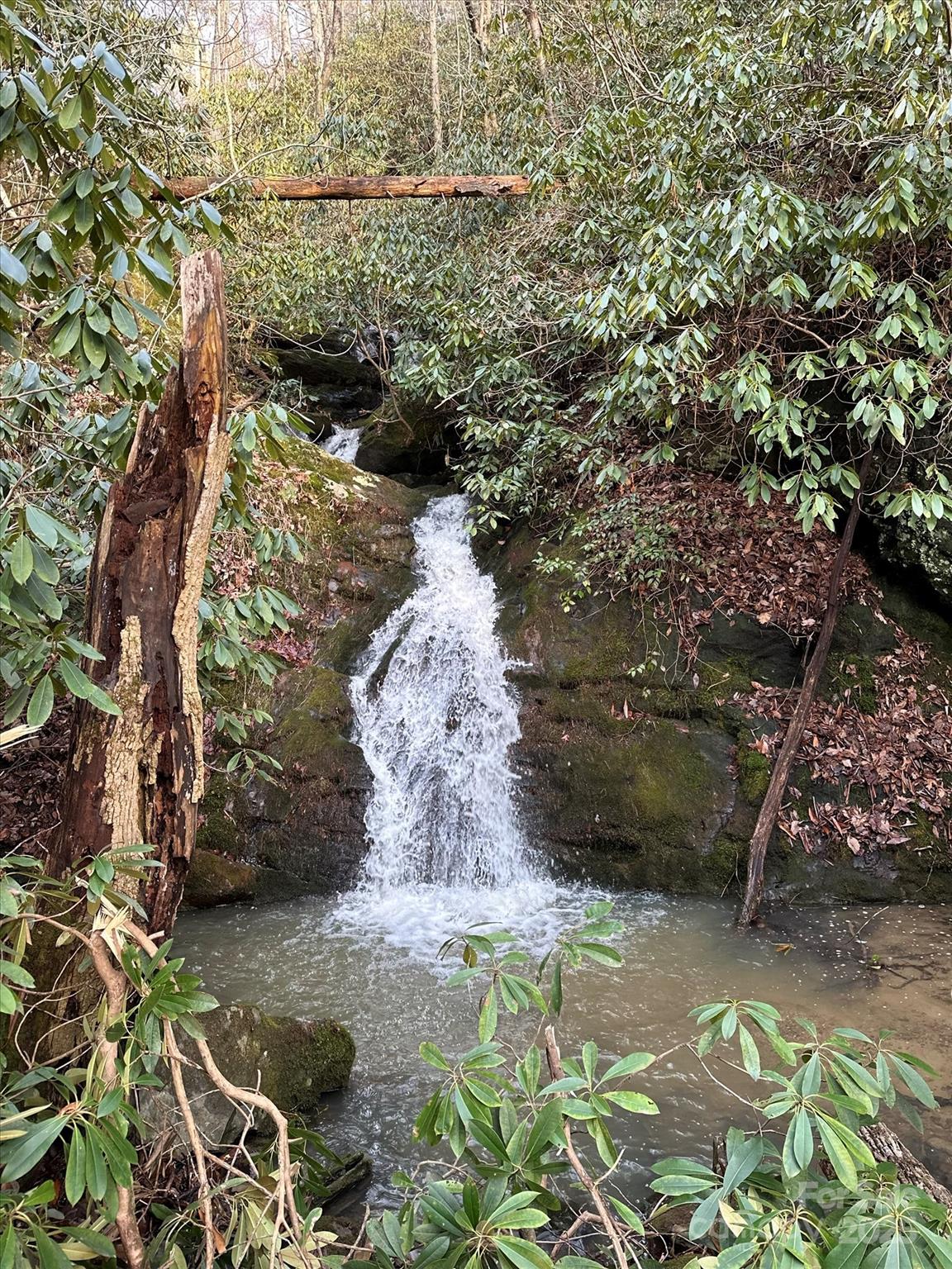 Marshall 16 4305811p