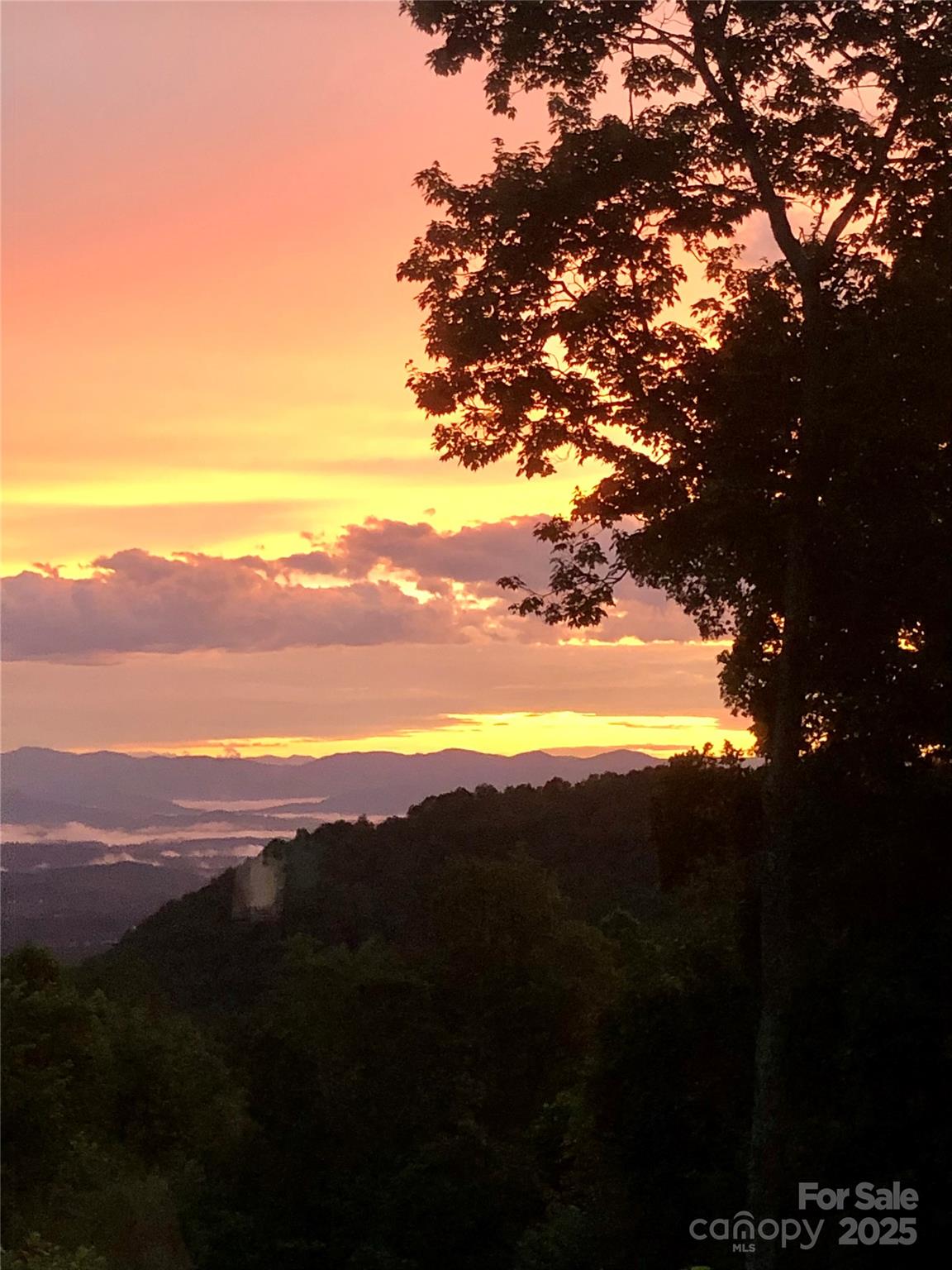 Weaverville 6 4307972f