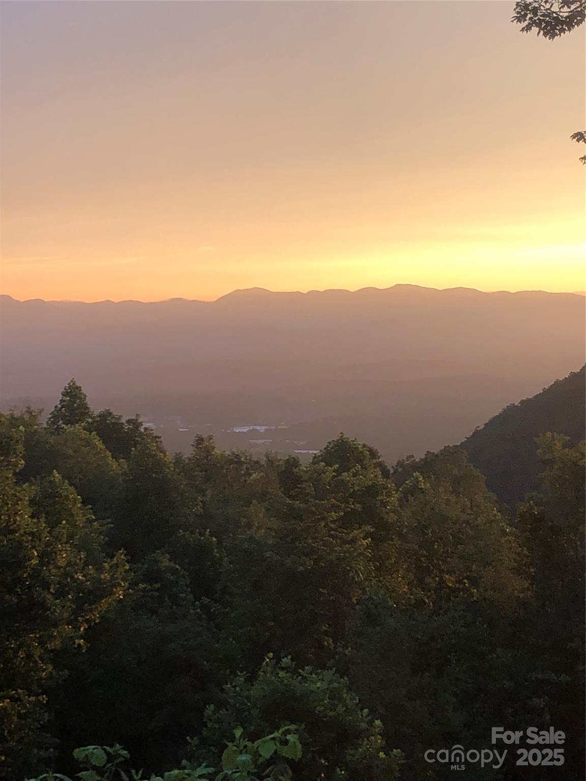 Weaverville 7 4307972g