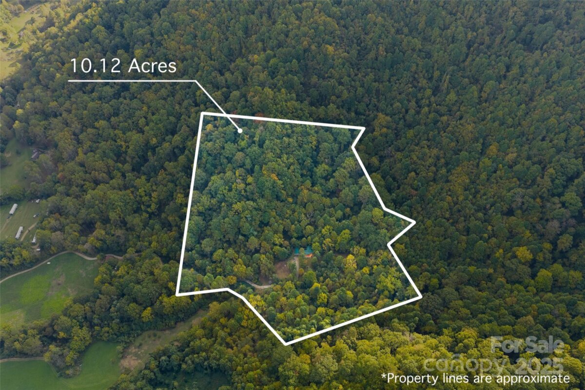 Leicester 8 4313323h