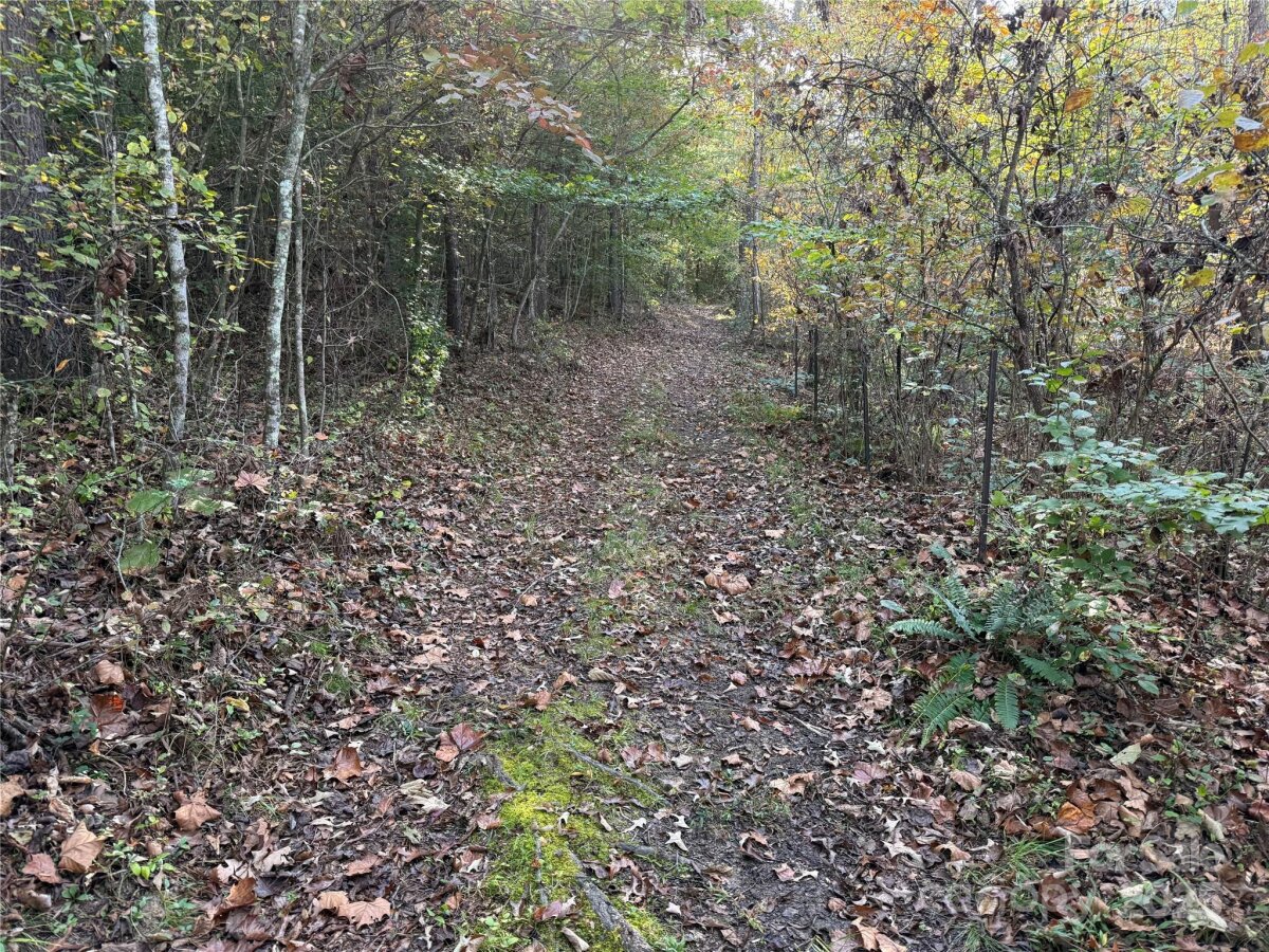 Weaverville 7 4313734g