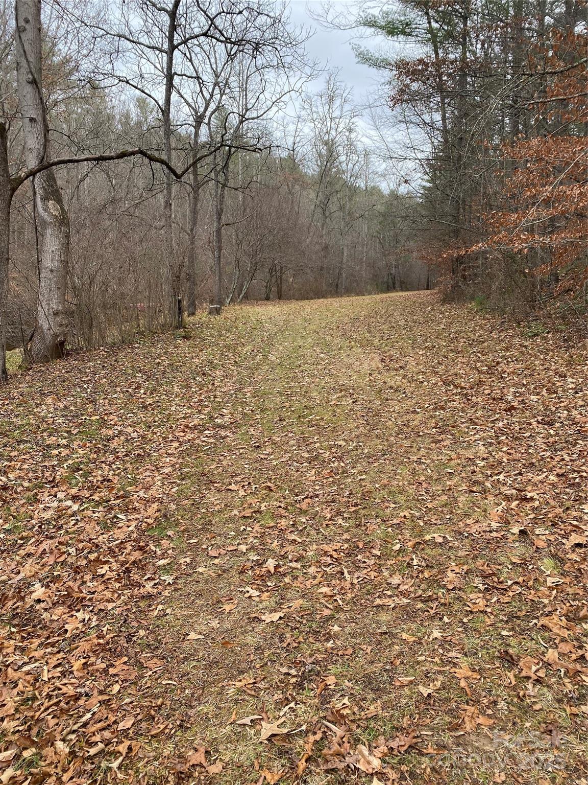 Weaverville 15 4313734o