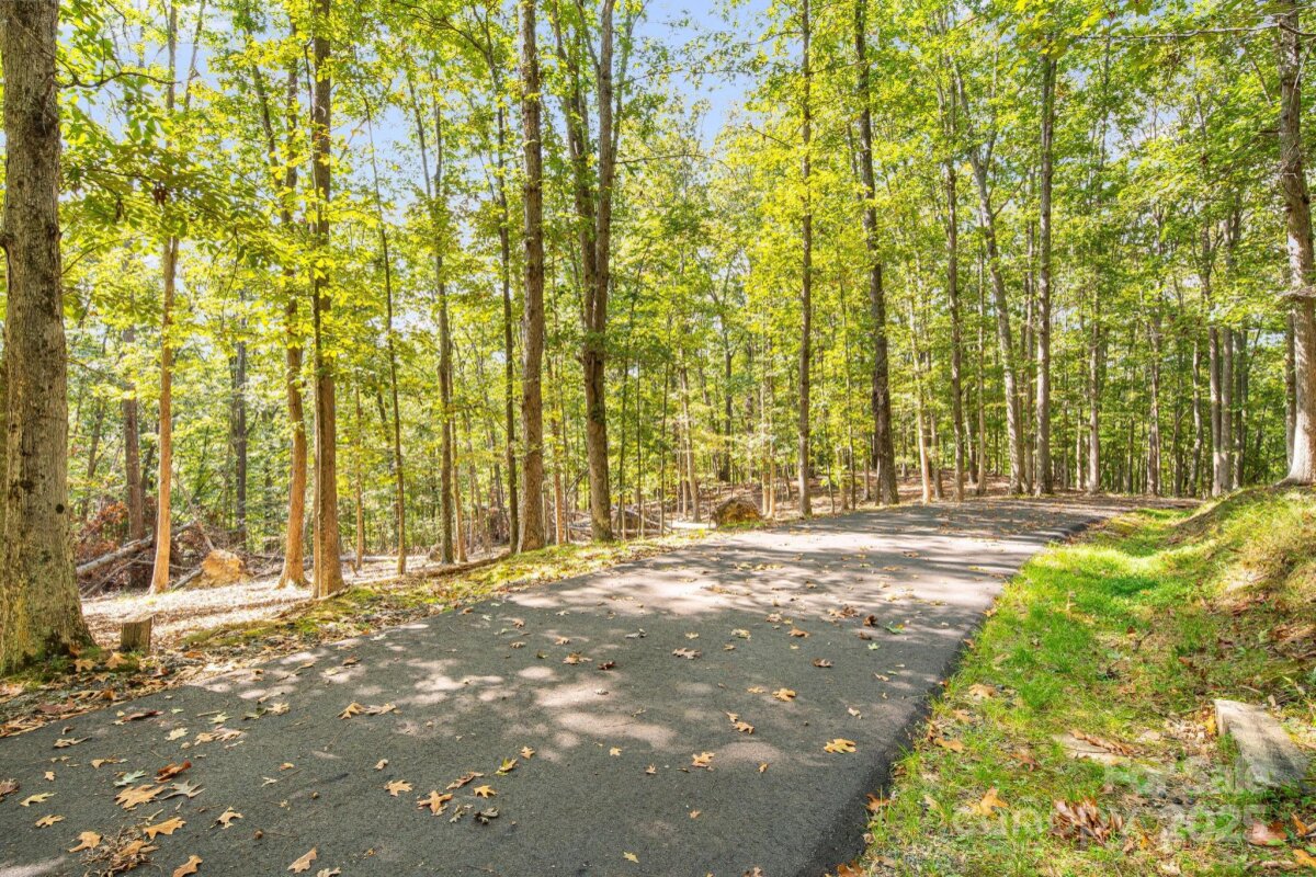 Marshall 15 4314263o