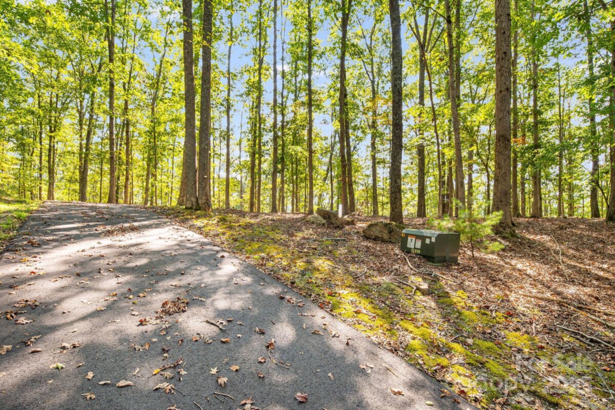 Marshall 16 4314263p