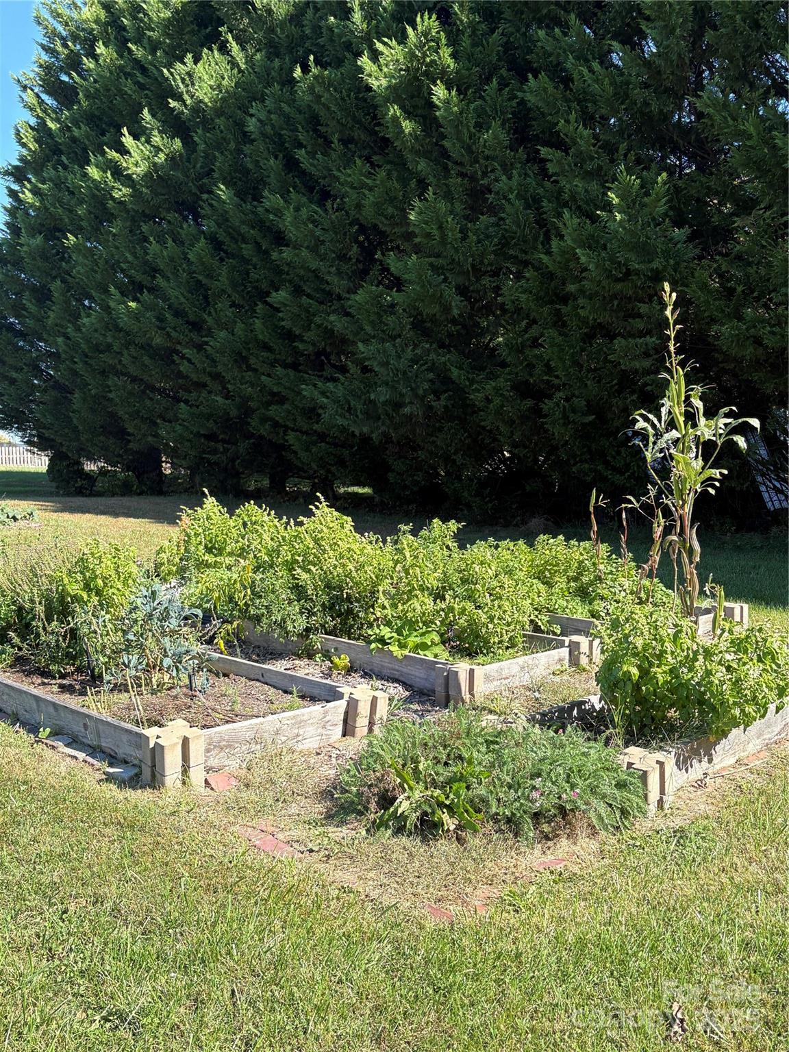 Flat Rock 25 4315259y