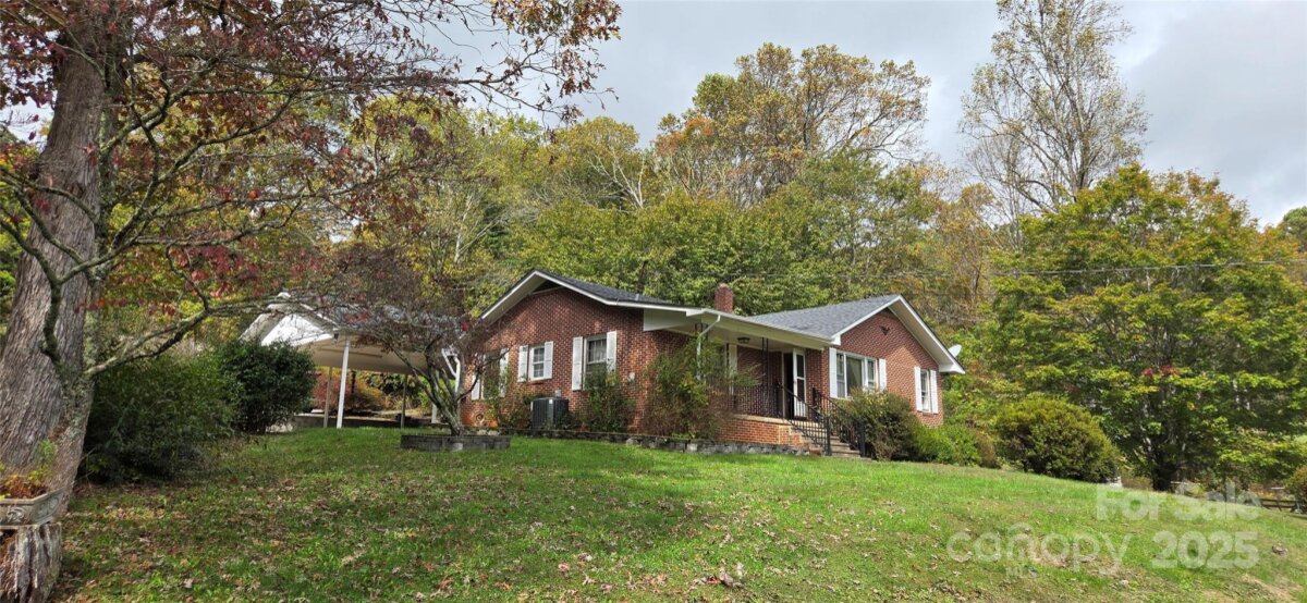 Spruce Pine 6 4315570f