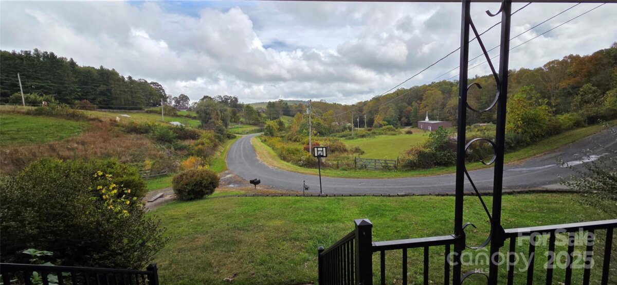 Spruce Pine 7 4315570g