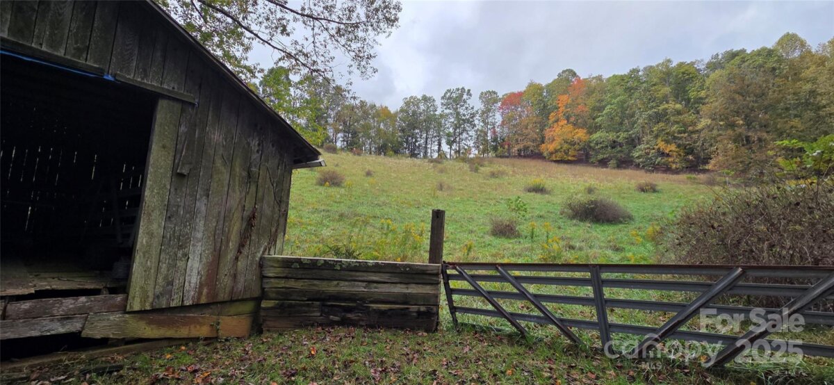 Spruce Pine 12 4315570l