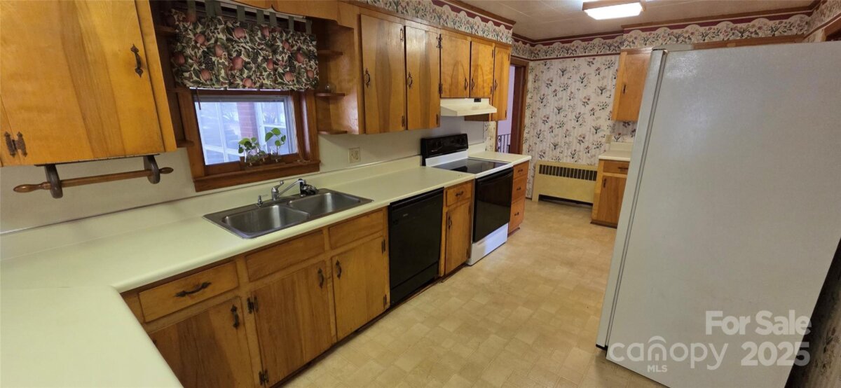 Spruce Pine 14 4315570n