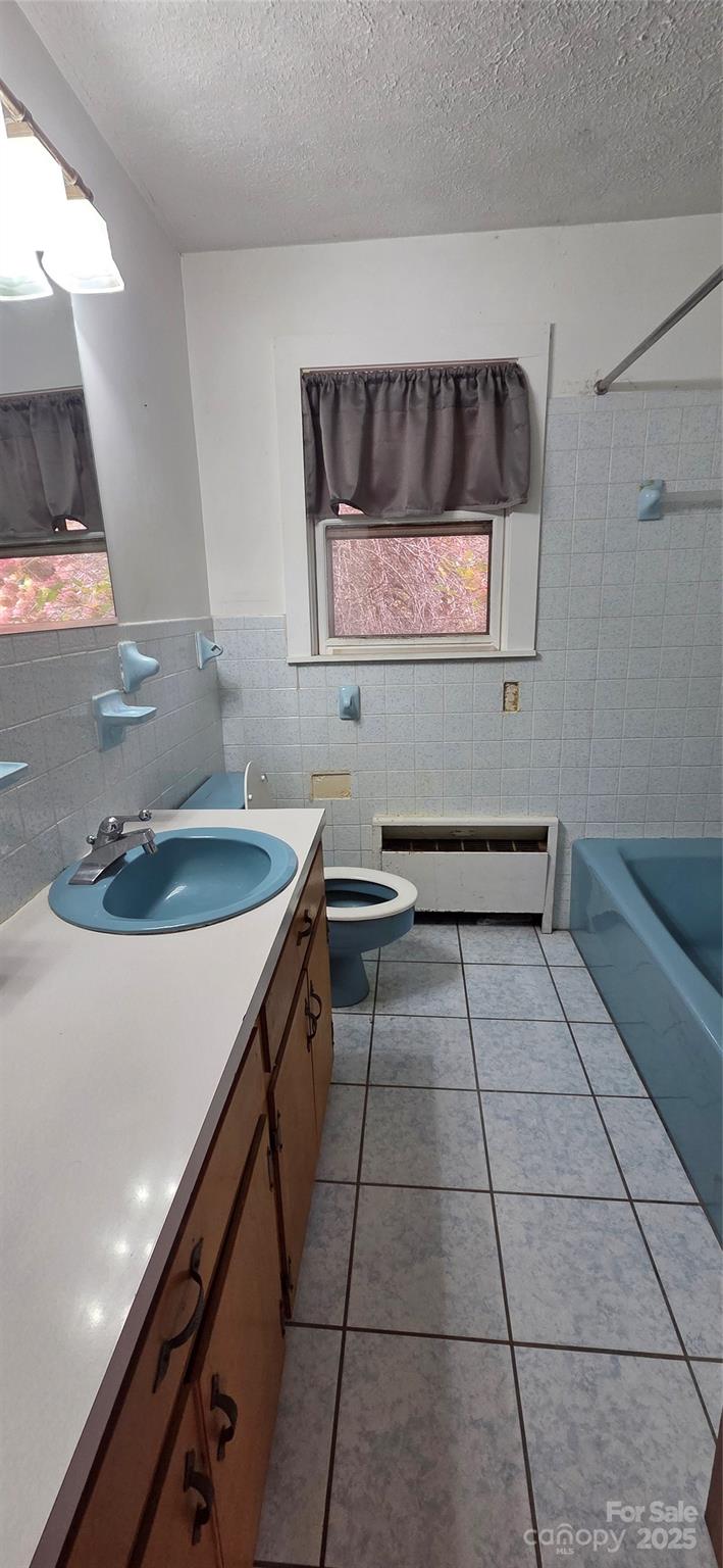 Spruce Pine 21 4315570u