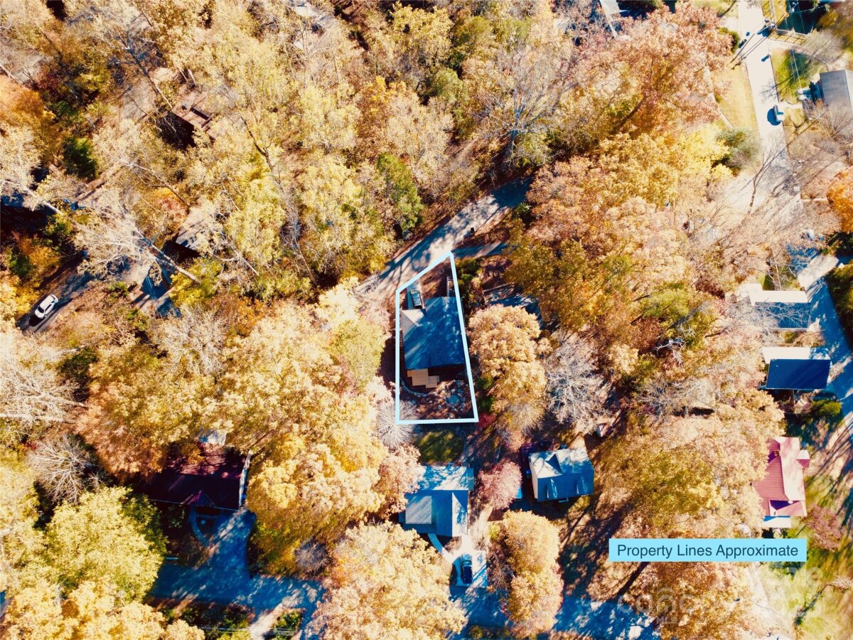 West Asheville 7 4316954g