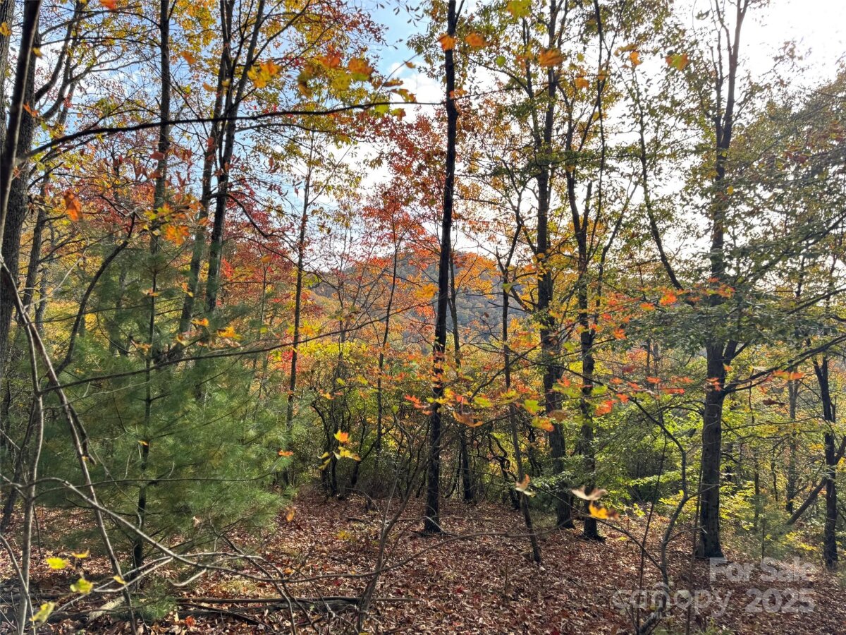 Avery Creek 2 4317077b