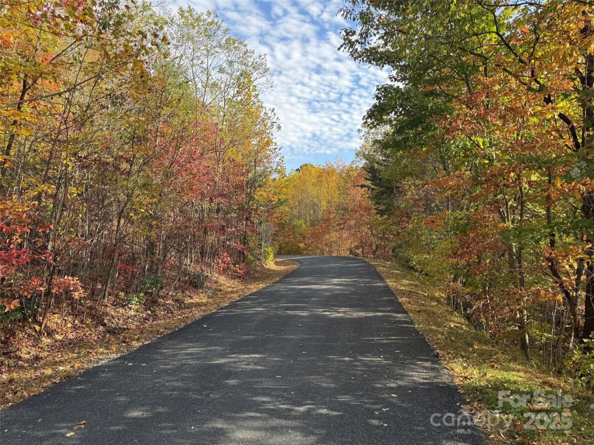 Avery Creek 3 4317077c