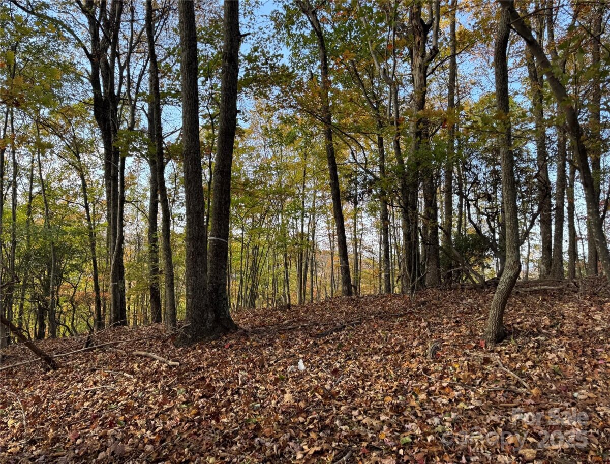 Avery Creek 4 4317077d