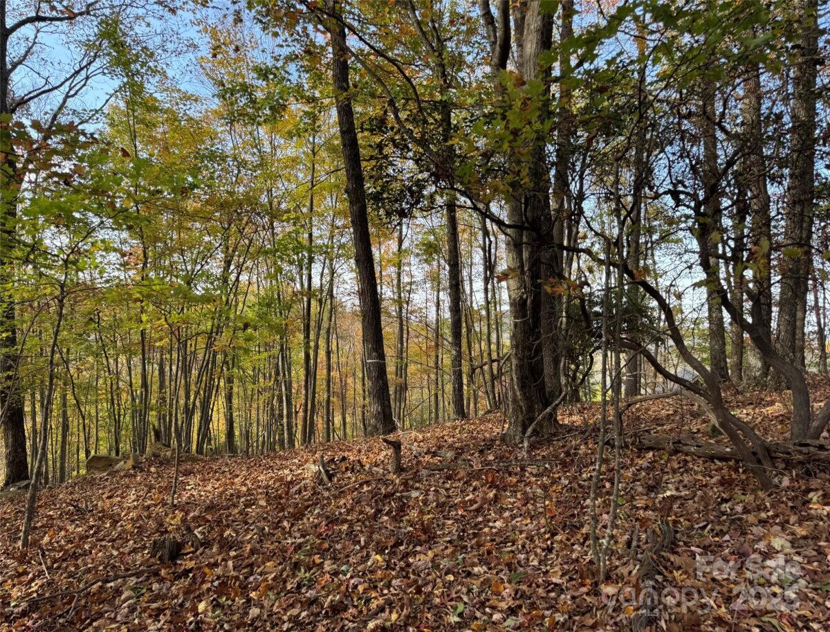 Avery Creek 6 4317077f