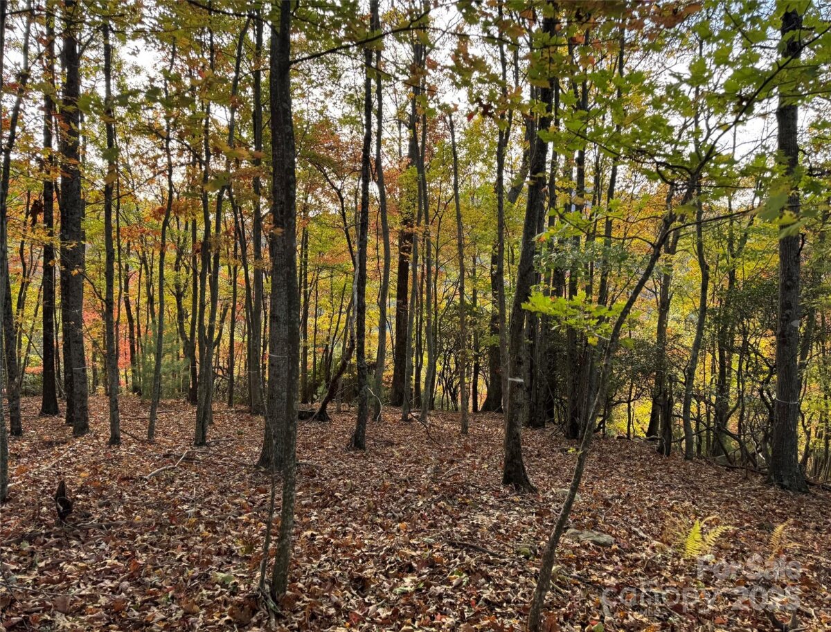 Avery Creek 7 4317077g