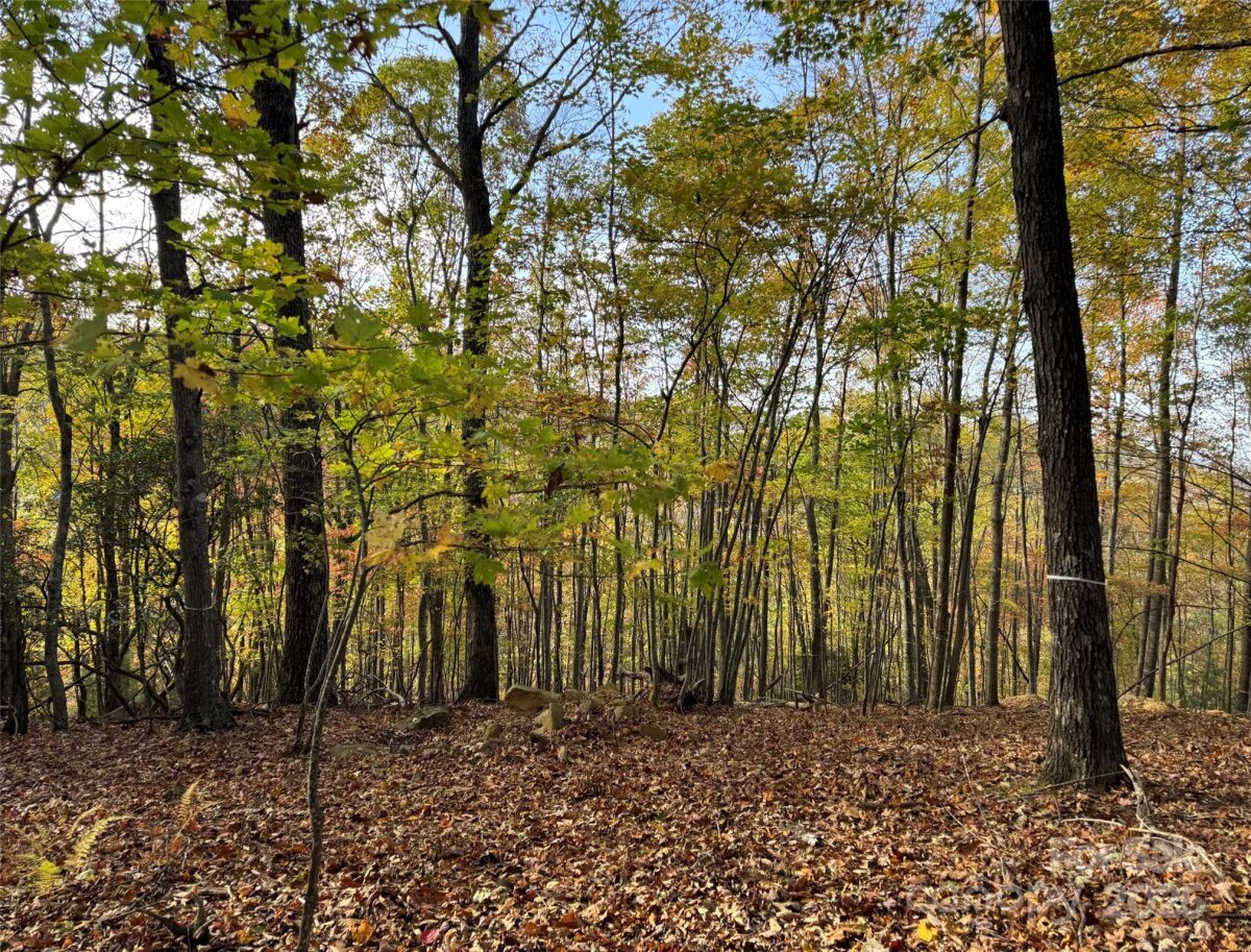 Avery Creek 8 4317077h