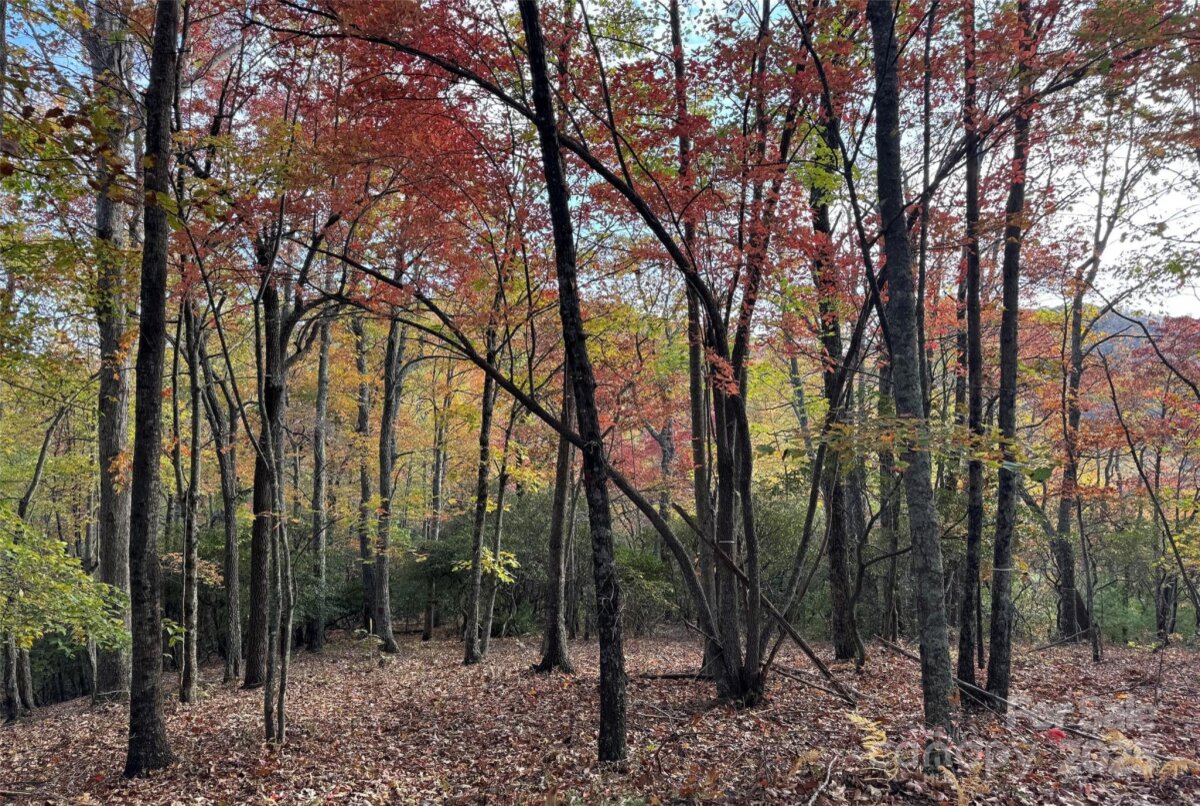 Avery Creek 9 4317077i