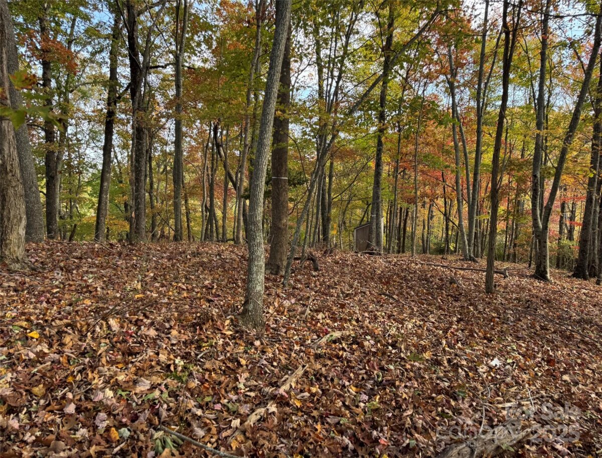 Avery Creek 10 4317077j