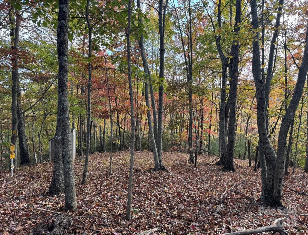 Avery Creek 11 4317077k